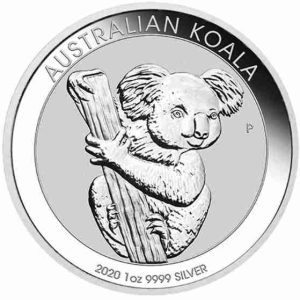 Australian Koala